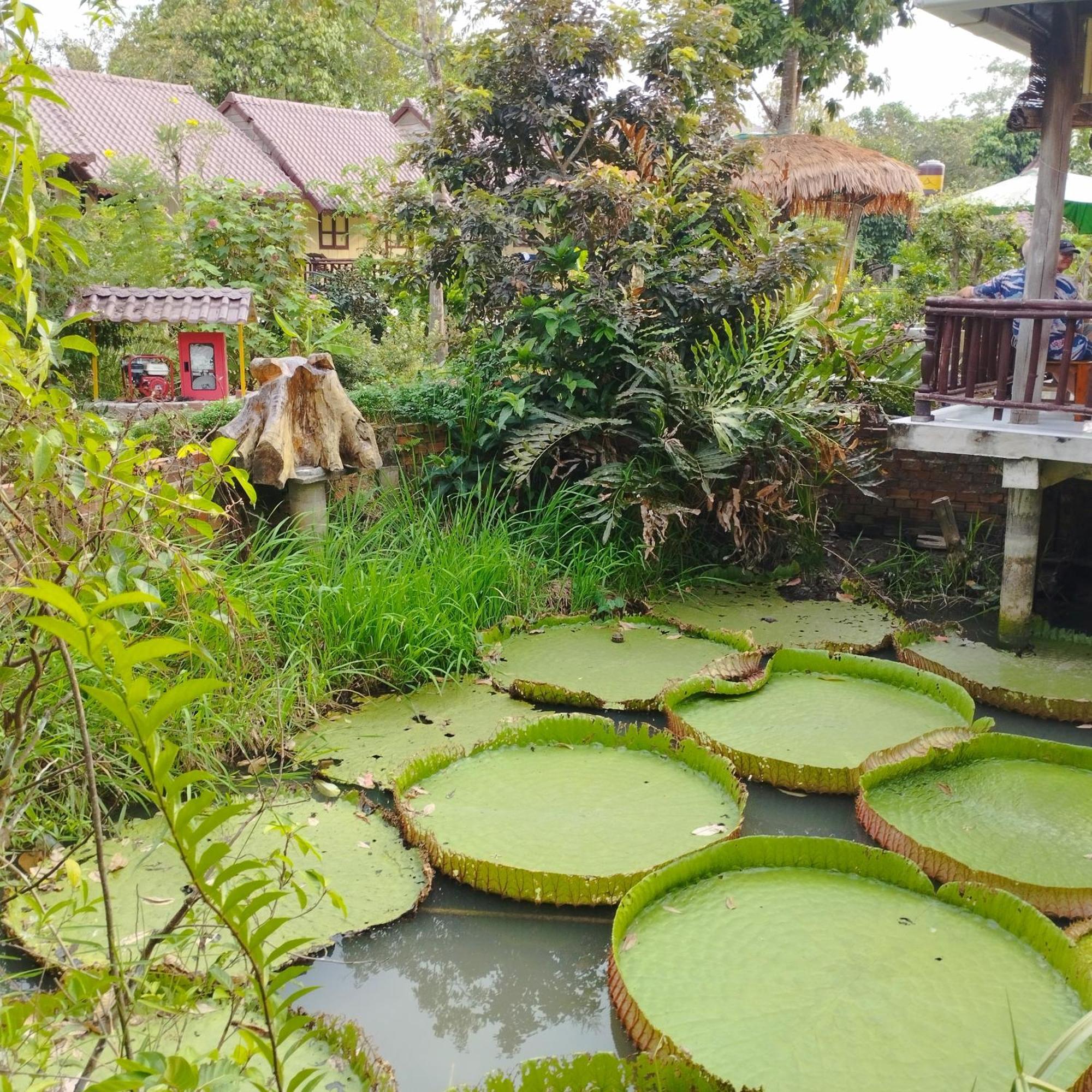 Brown House Resort Can Tho Esterno foto